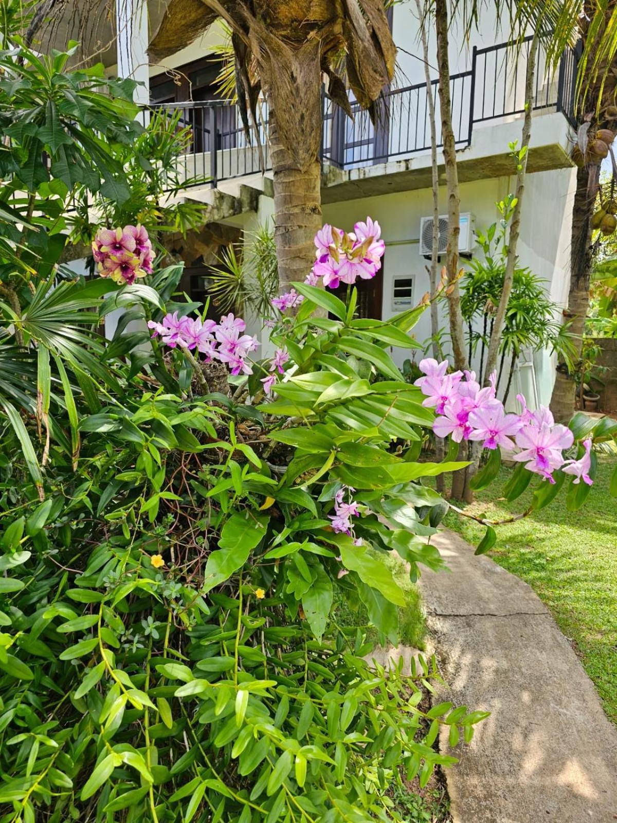 Optimum Residencies Bed & Breakfast Negombo Exterior foto