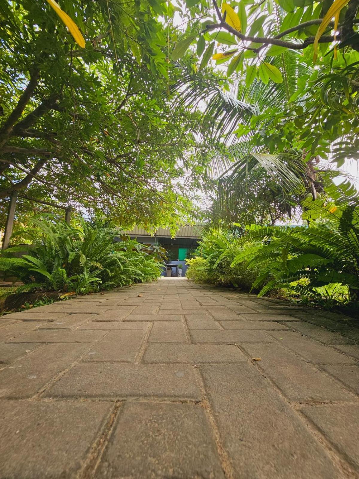 Optimum Residencies Bed & Breakfast Negombo Exterior foto
